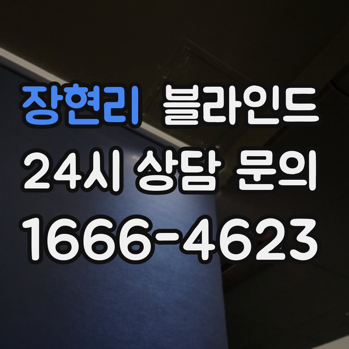 장현리 블라인드