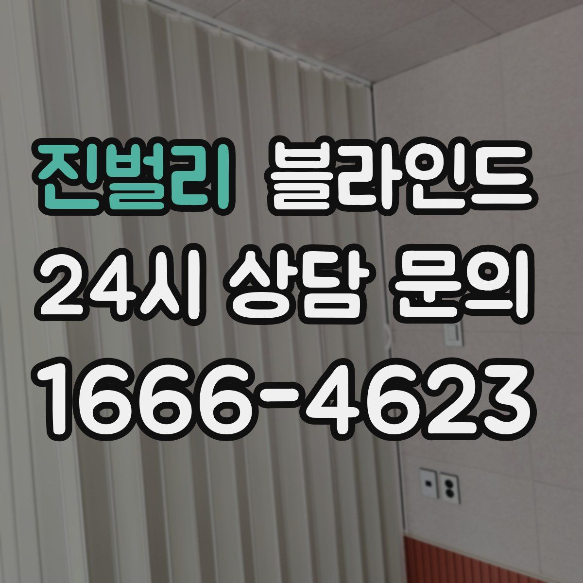 진벌리 블라인드