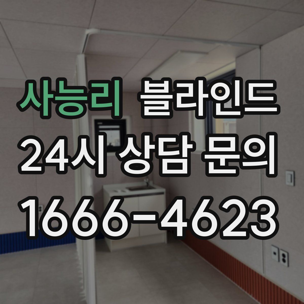 사능리 블라인드