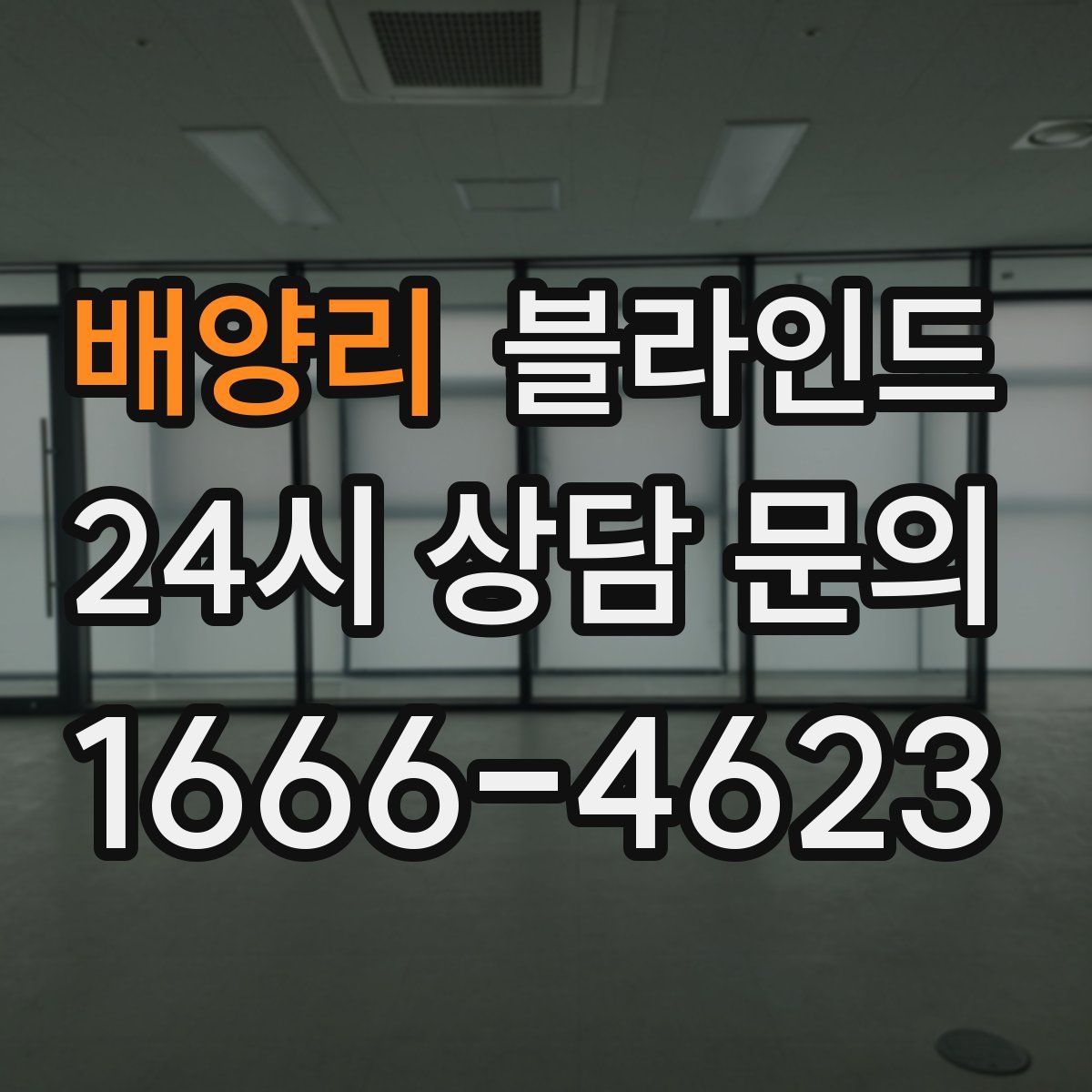 배양리 블라인드