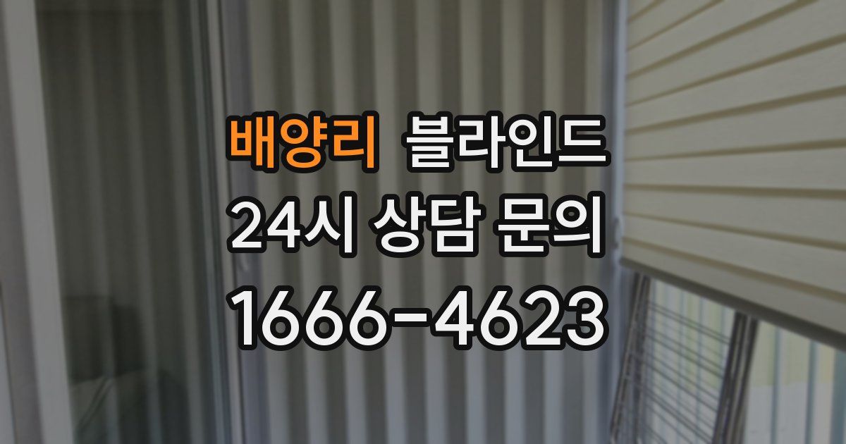배양리 블라인드