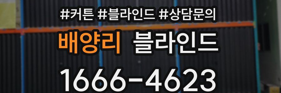 배양리 블라인드