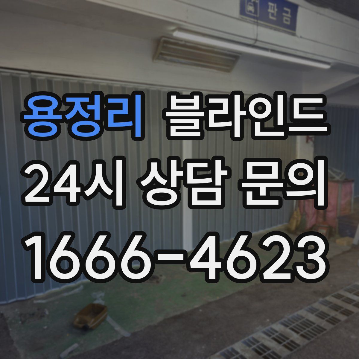 용정리 블라인드