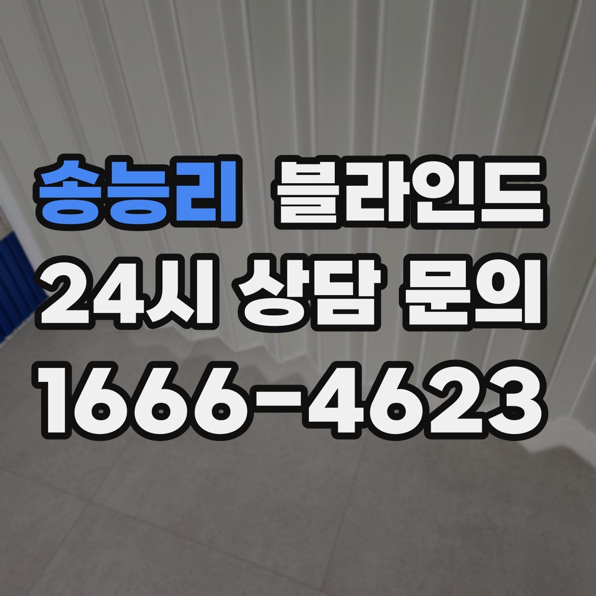송능리 블라인드