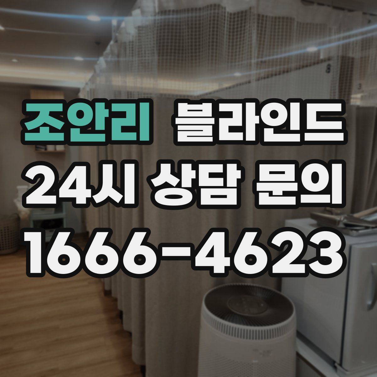 조안리 블라인드