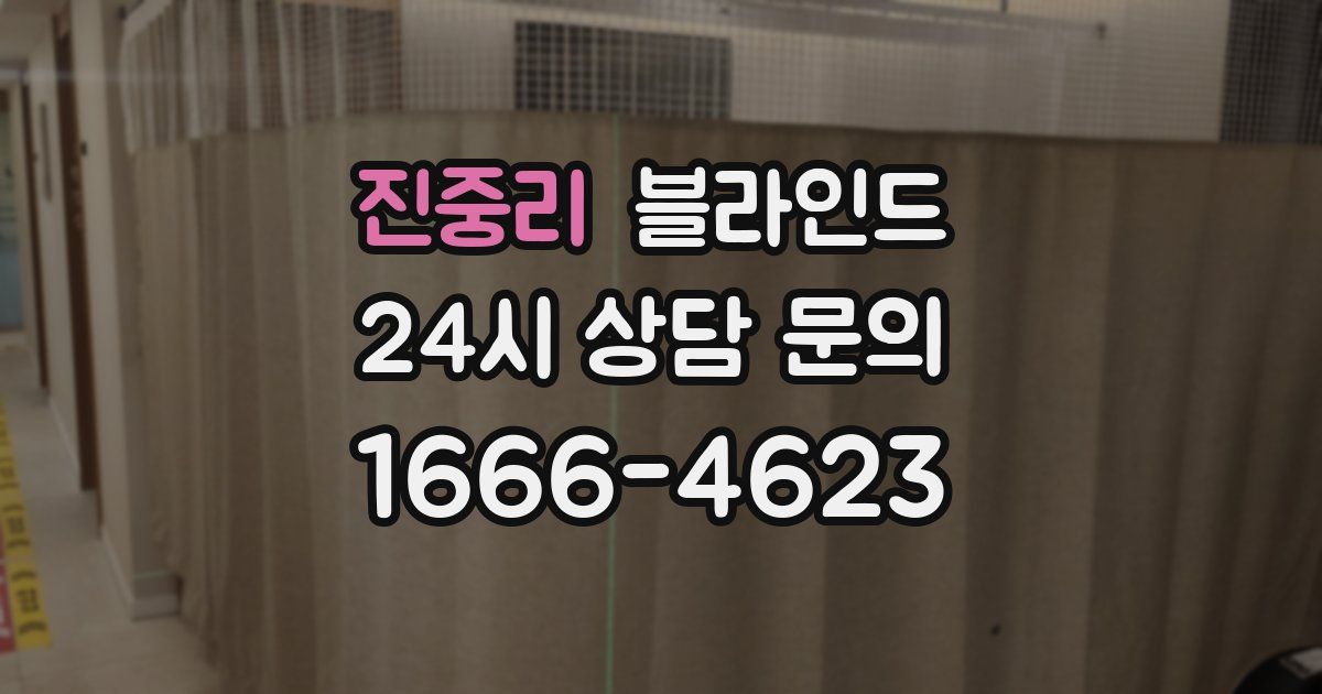 진중리 블라인드