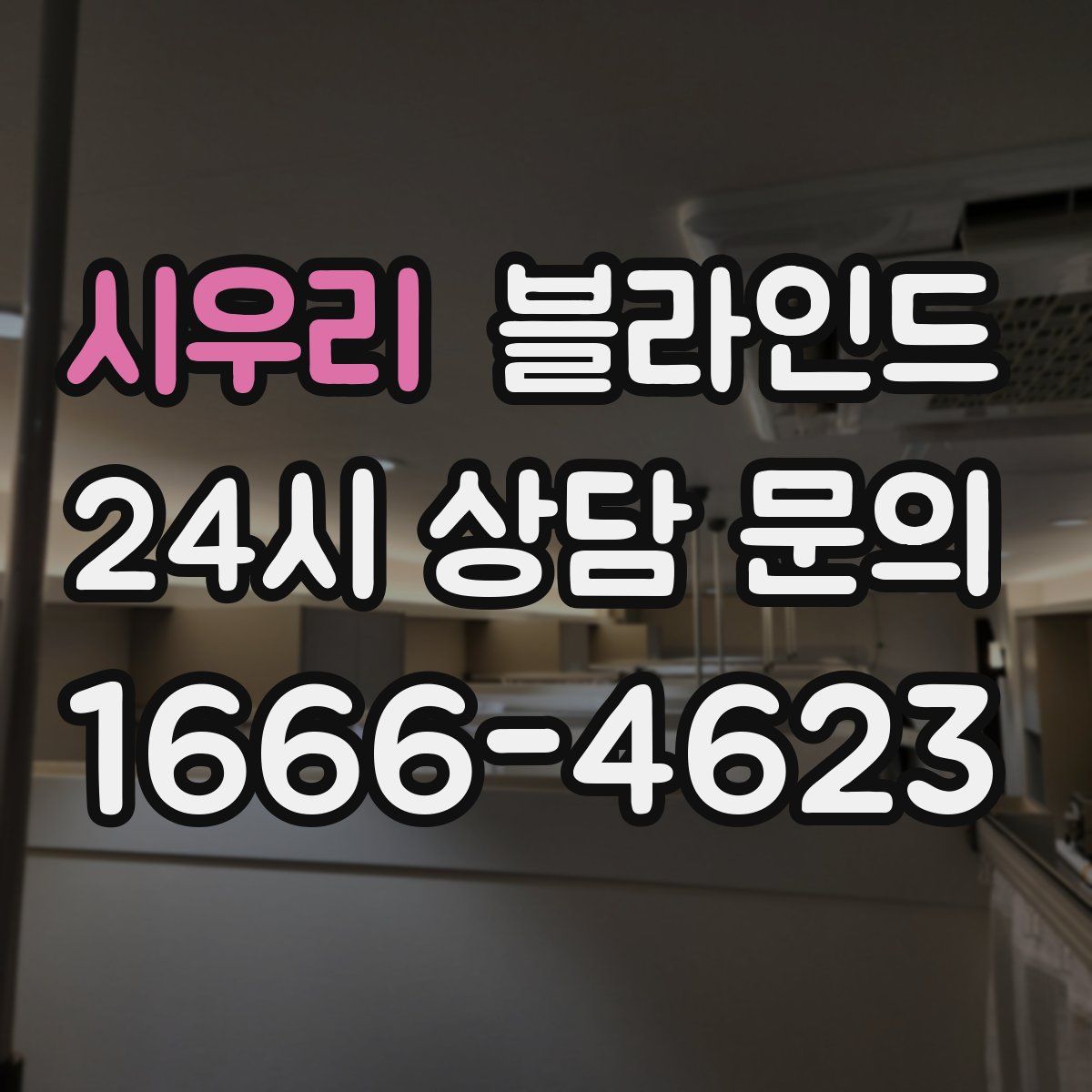 시우리 블라인드