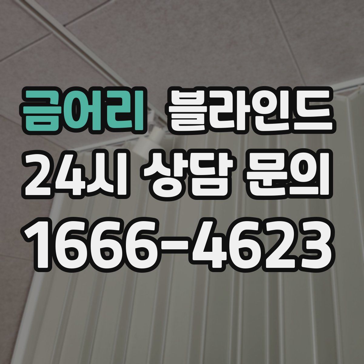 금어리 블라인드