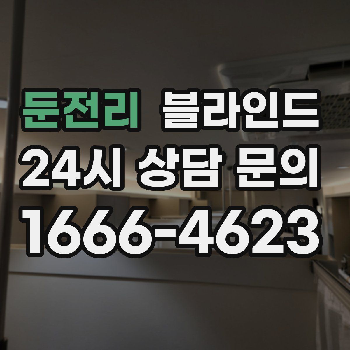 둔전리 블라인드