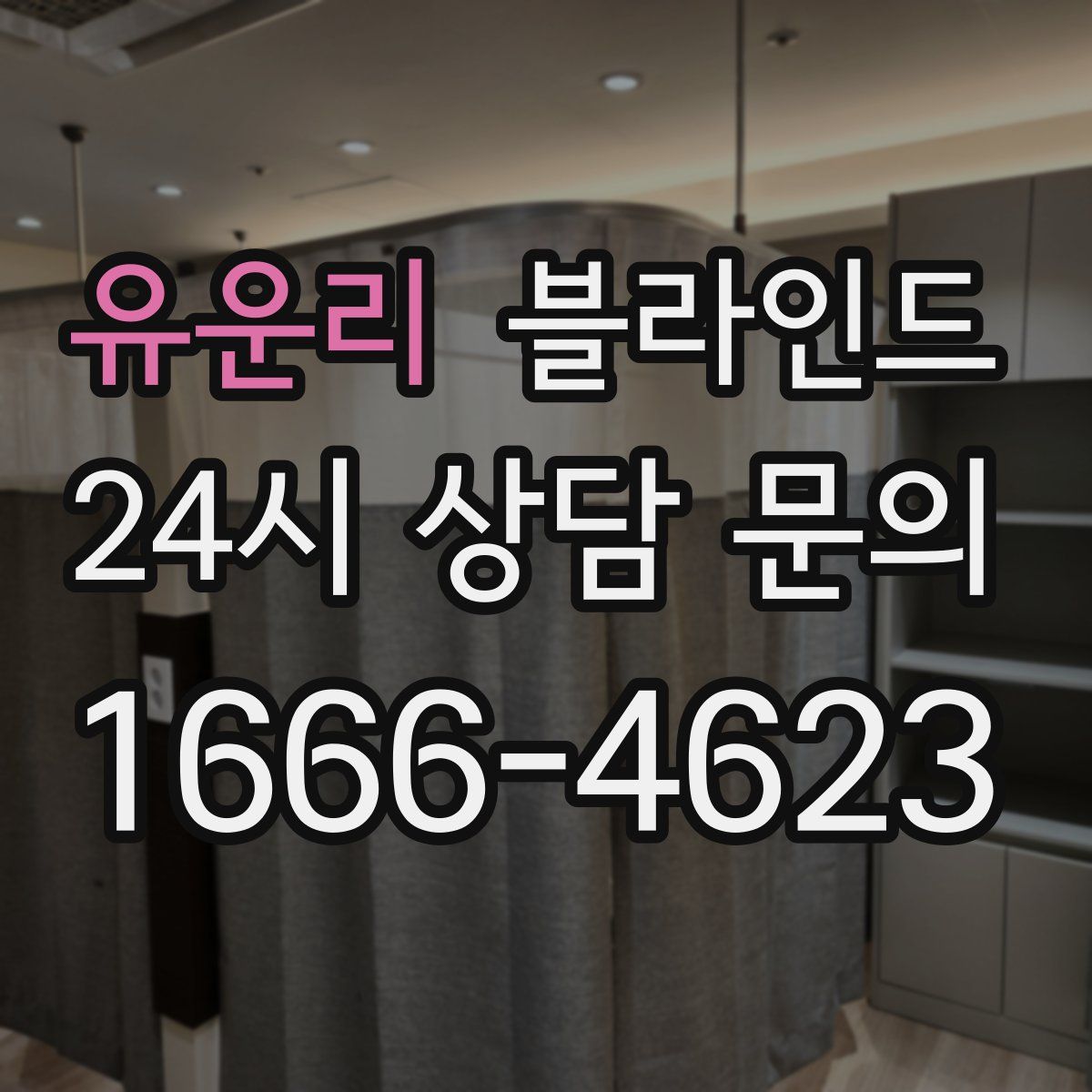 유운리 블라인드