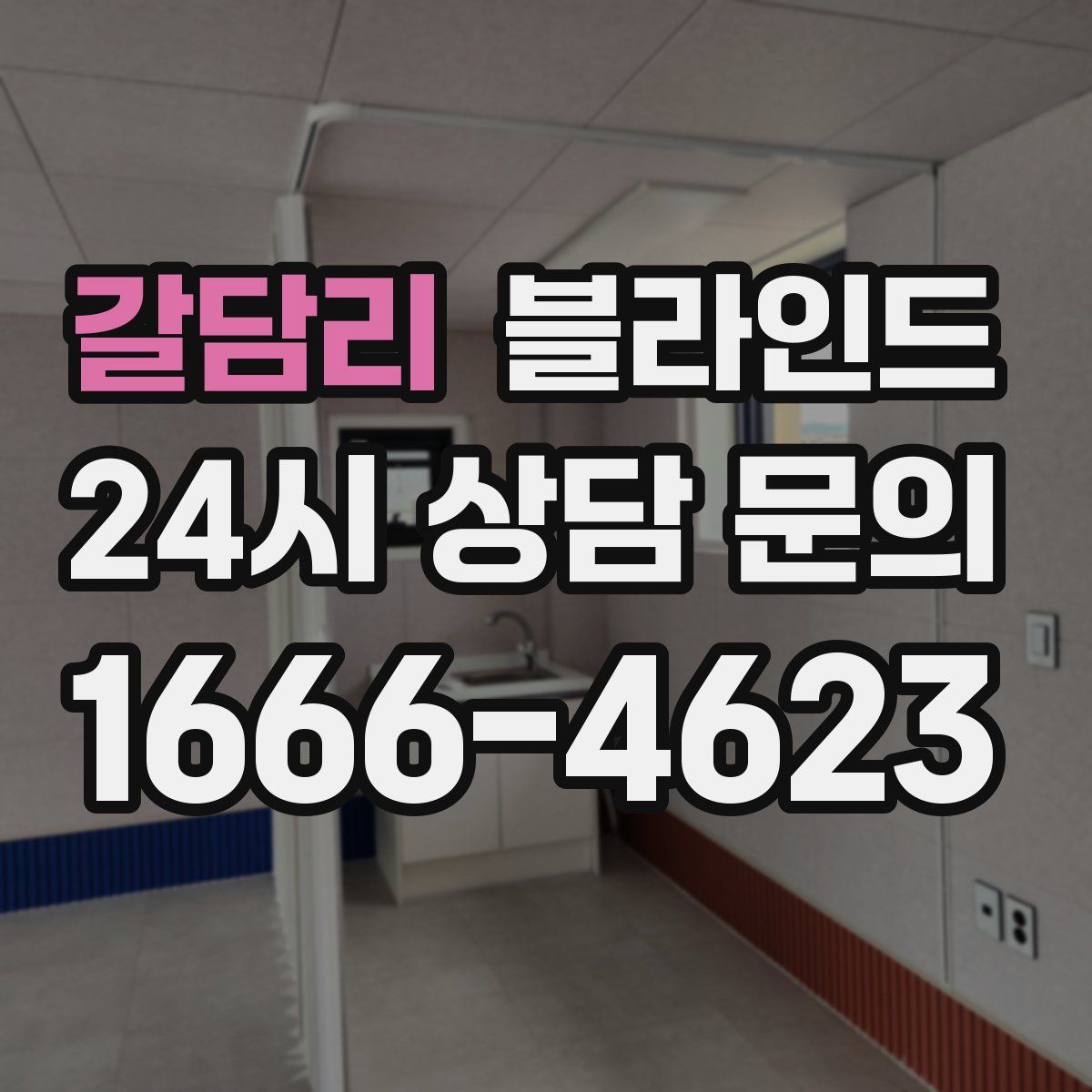 갈담리 블라인드