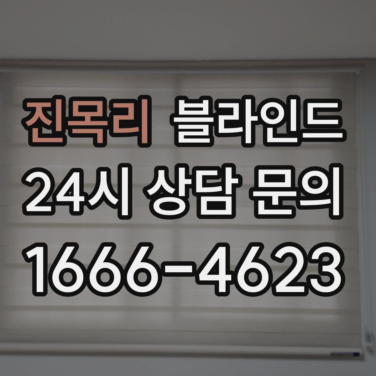 진목리 블라인드