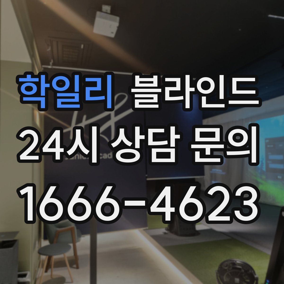 학일리 블라인드