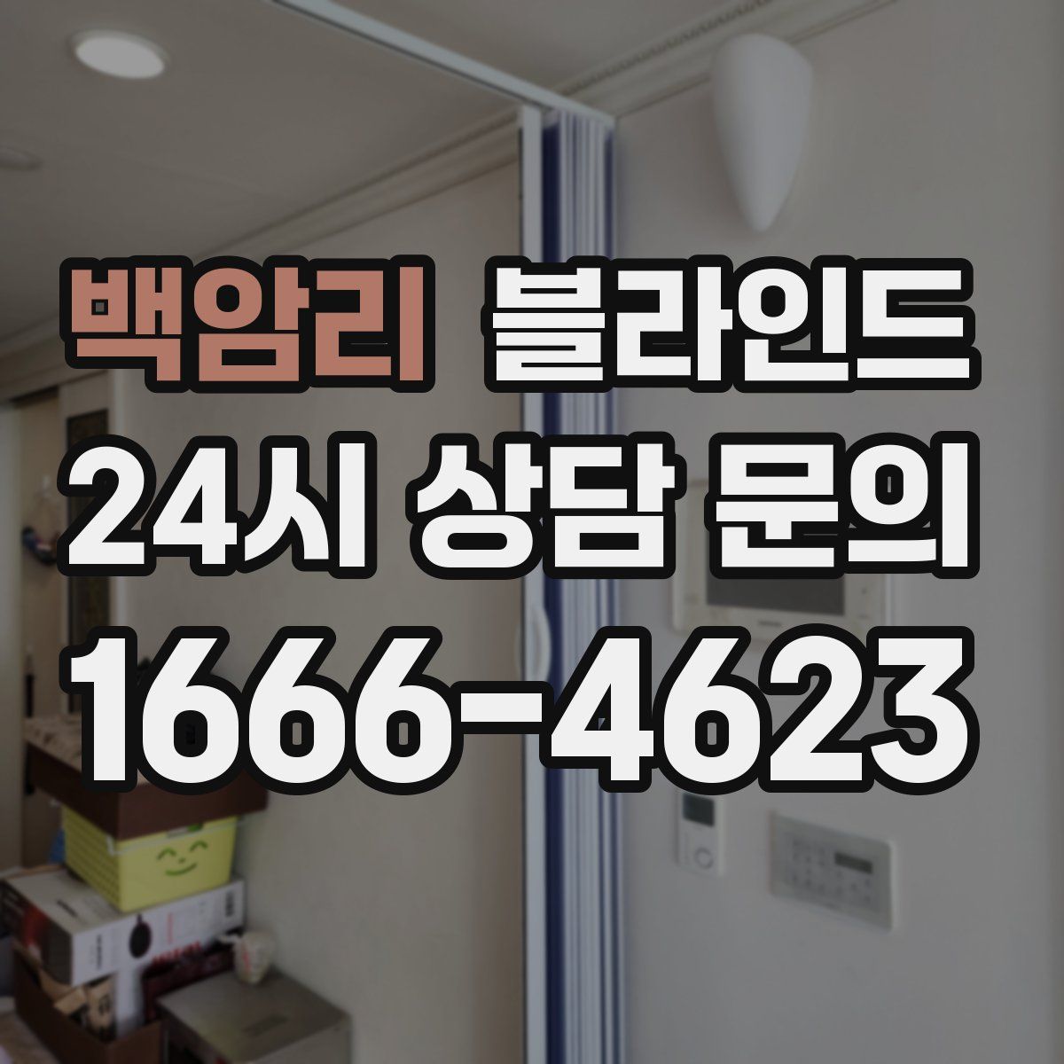 백암리 블라인드
