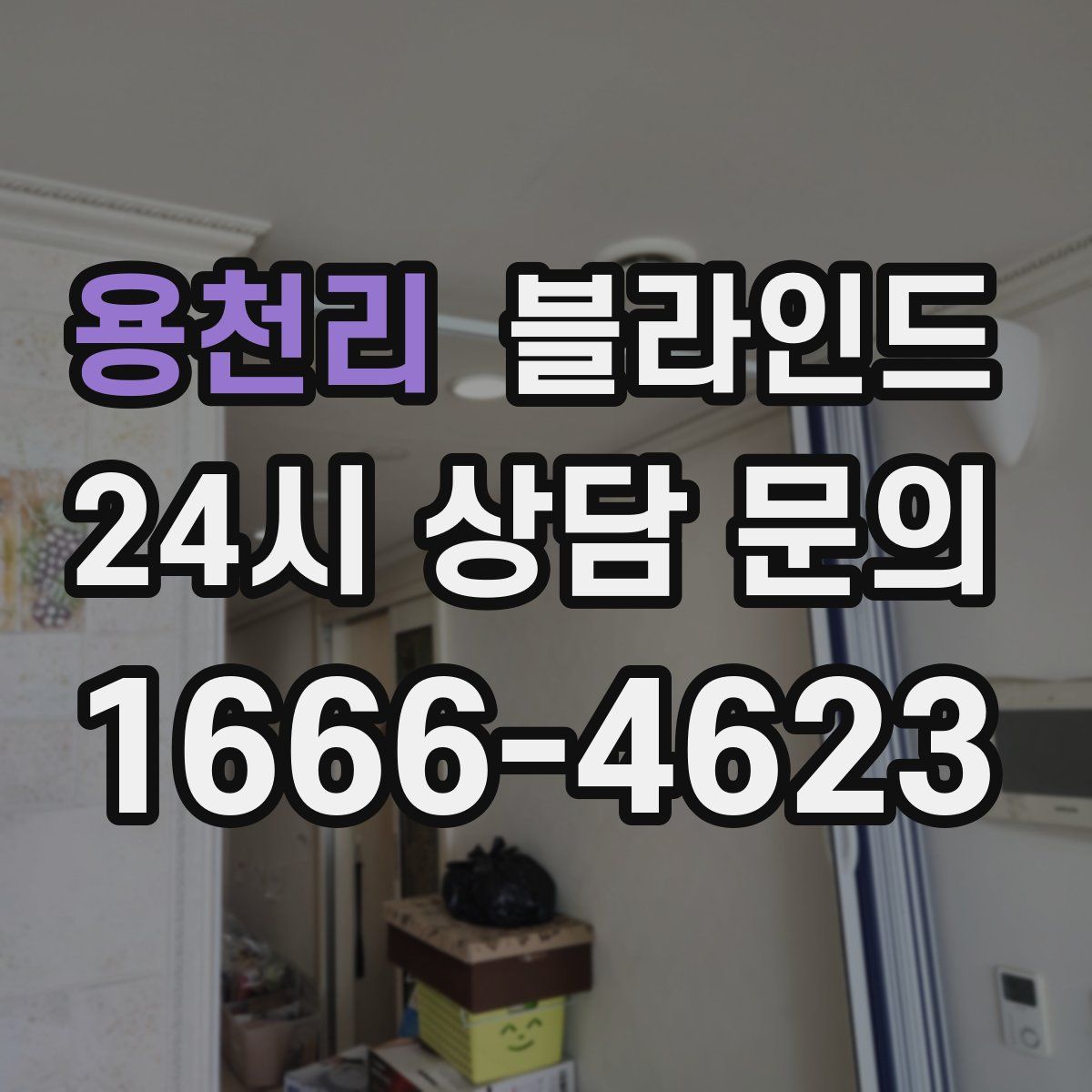 용천리 블라인드
