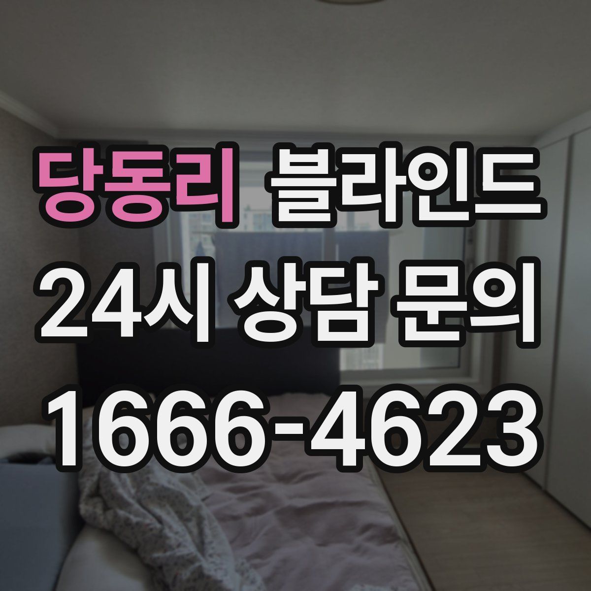 당동리 블라인드