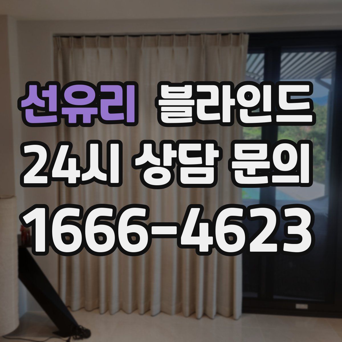 선유리 블라인드