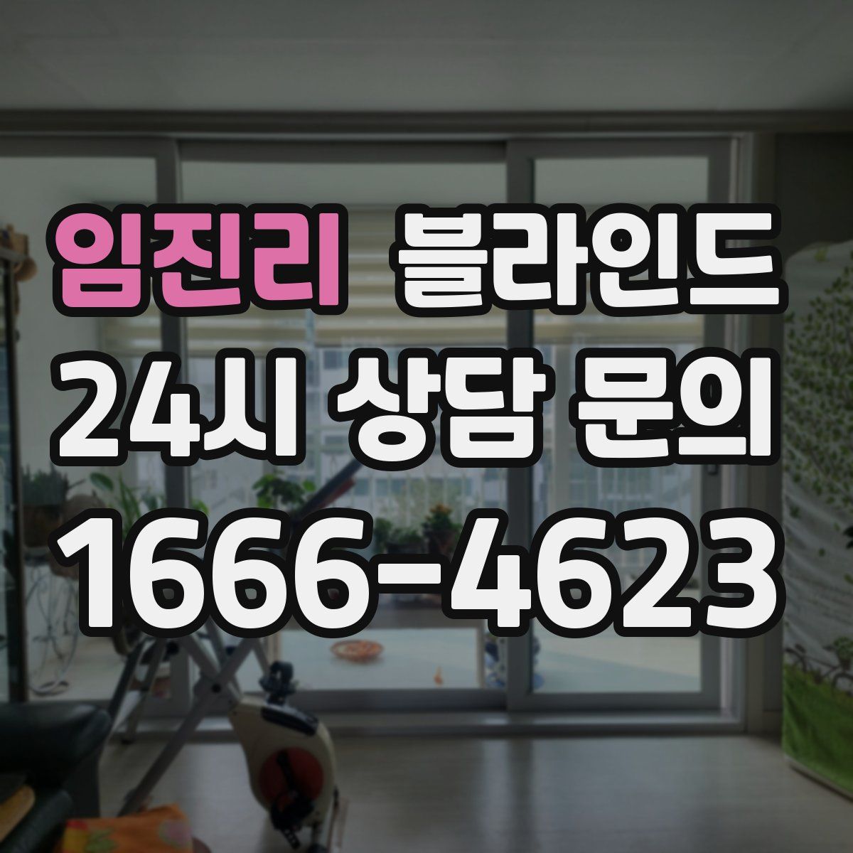 임진리 블라인드