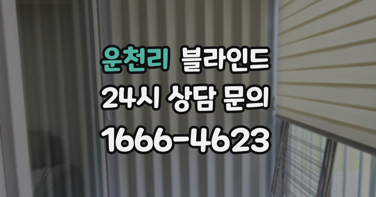 운천리 블라인드