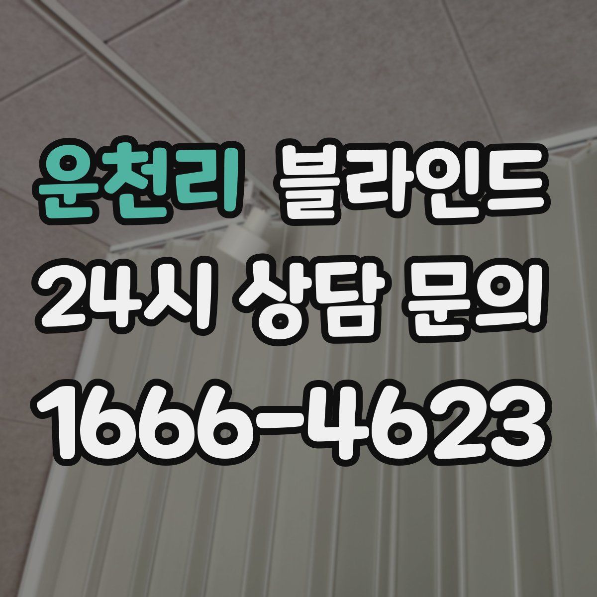 운천리 블라인드