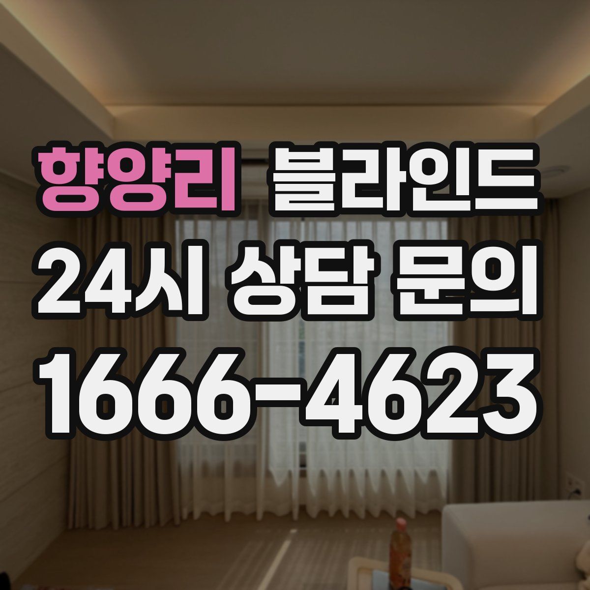 향양리 블라인드