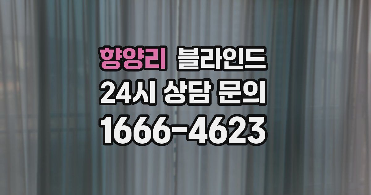 향양리 블라인드