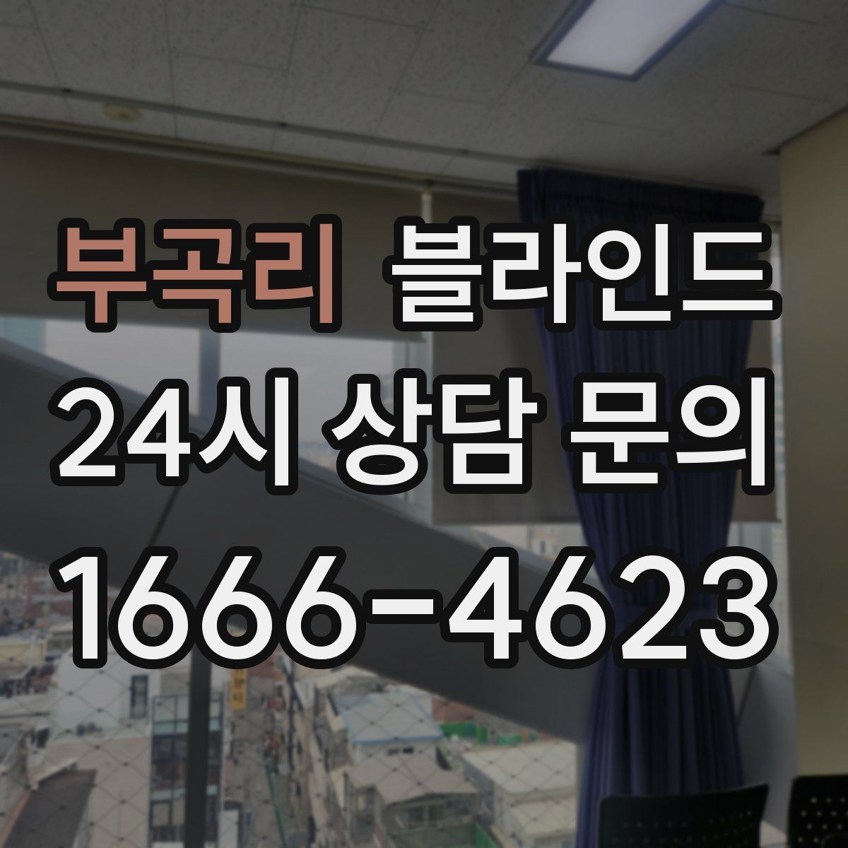부곡리 블라인드