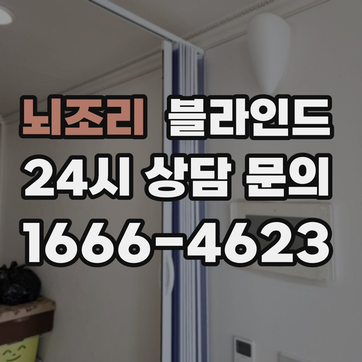 뇌조리 블라인드
