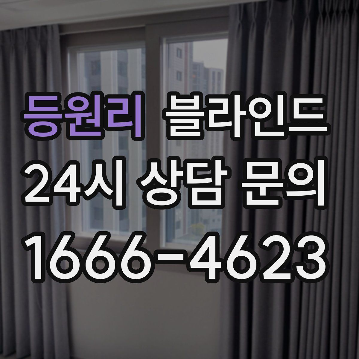 등원리 블라인드