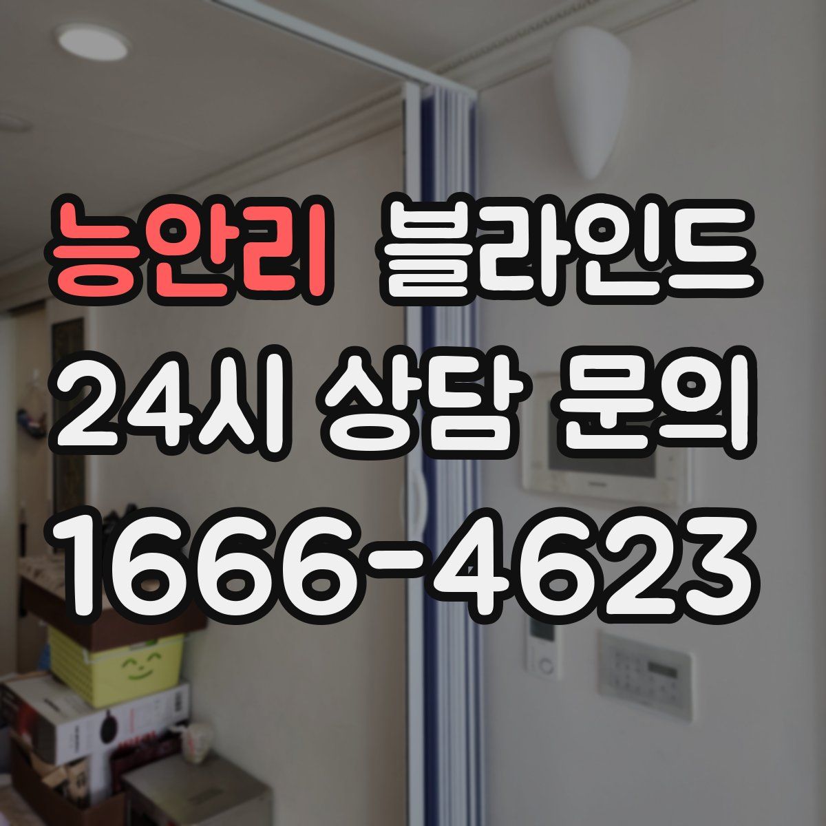 능안리 블라인드