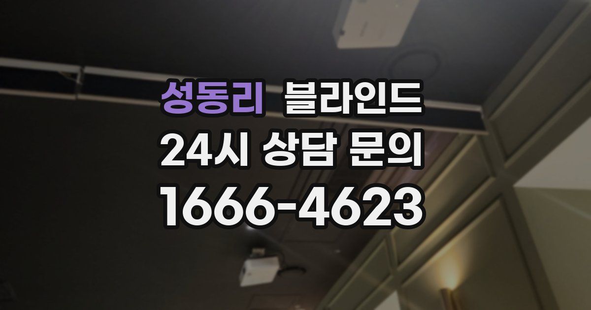 성동리 블라인드