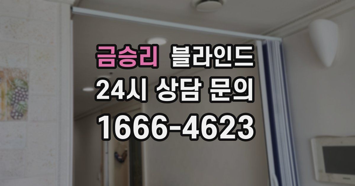 금승리 블라인드