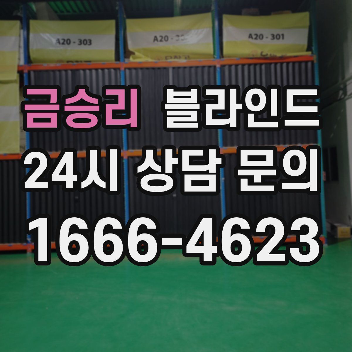 금승리 블라인드