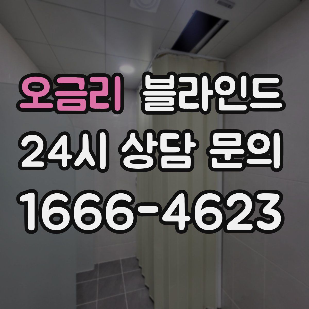 오금리 블라인드