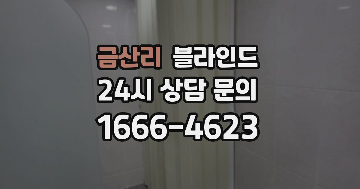 금산리 블라인드