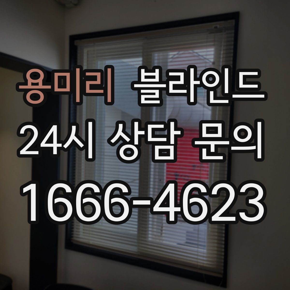 용미리 블라인드