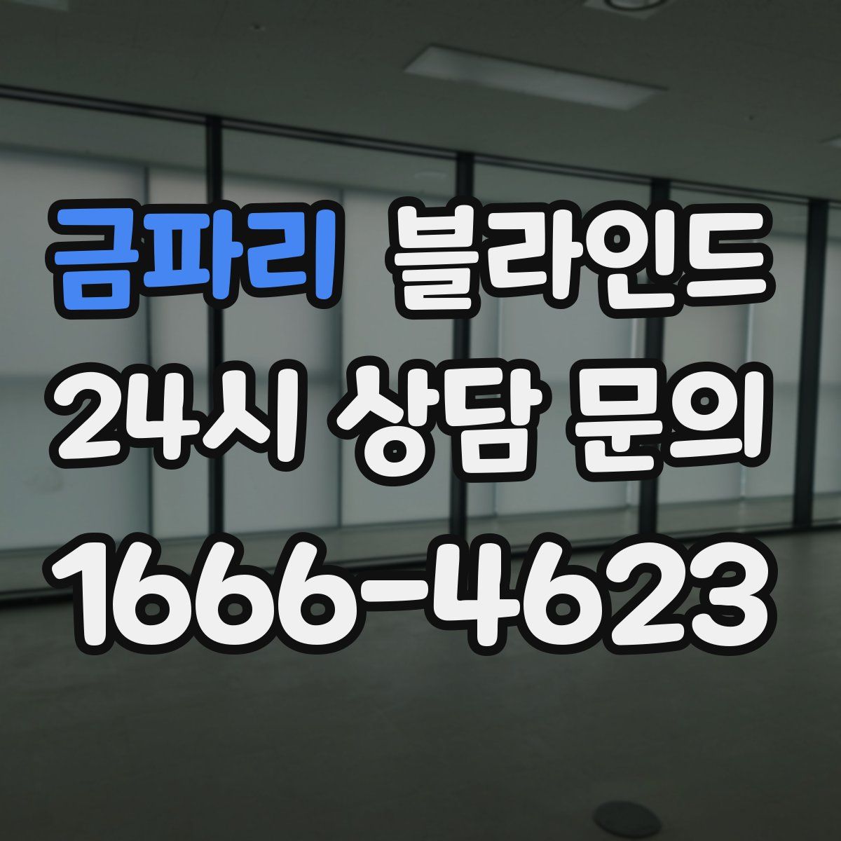 금파리 블라인드