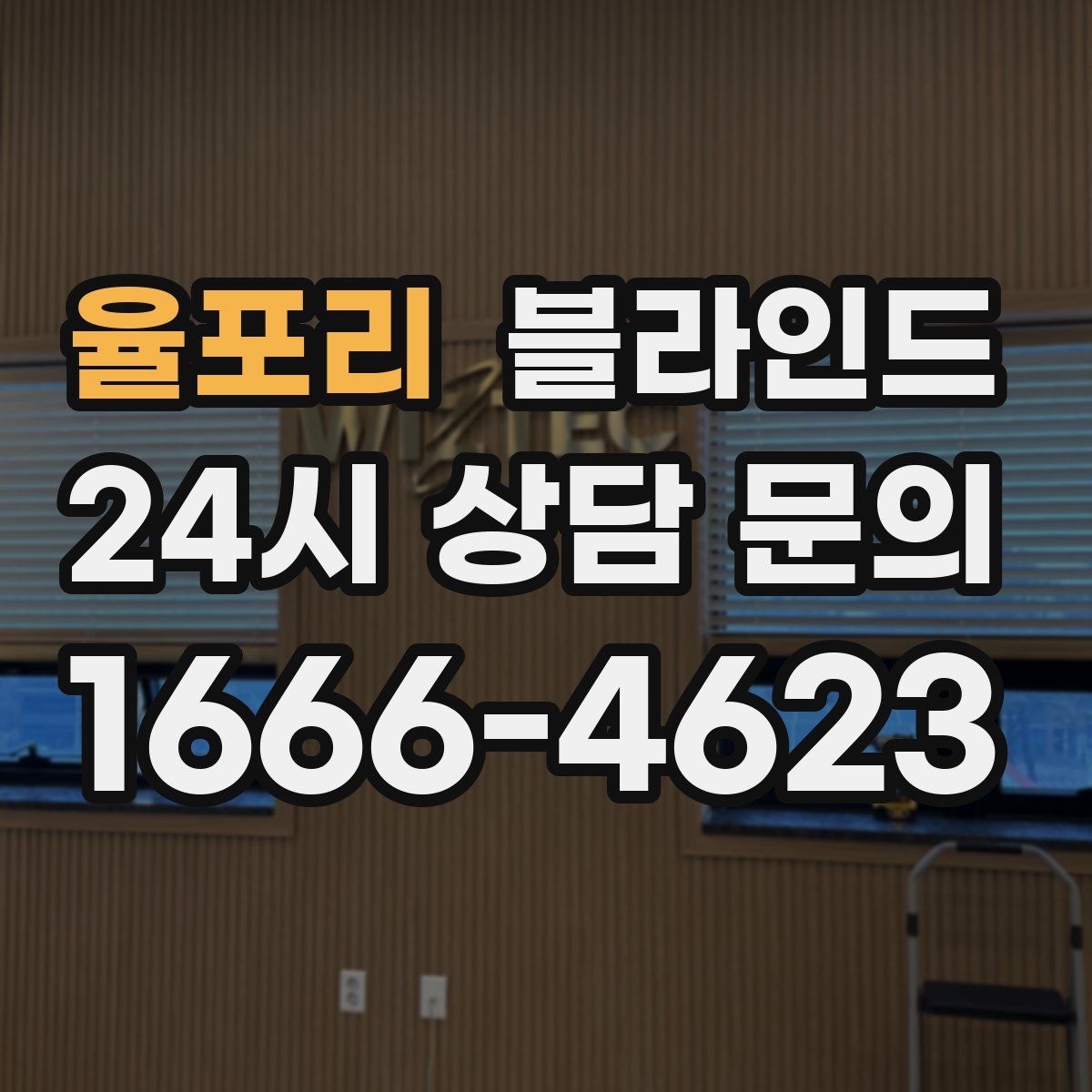 율포리 블라인드