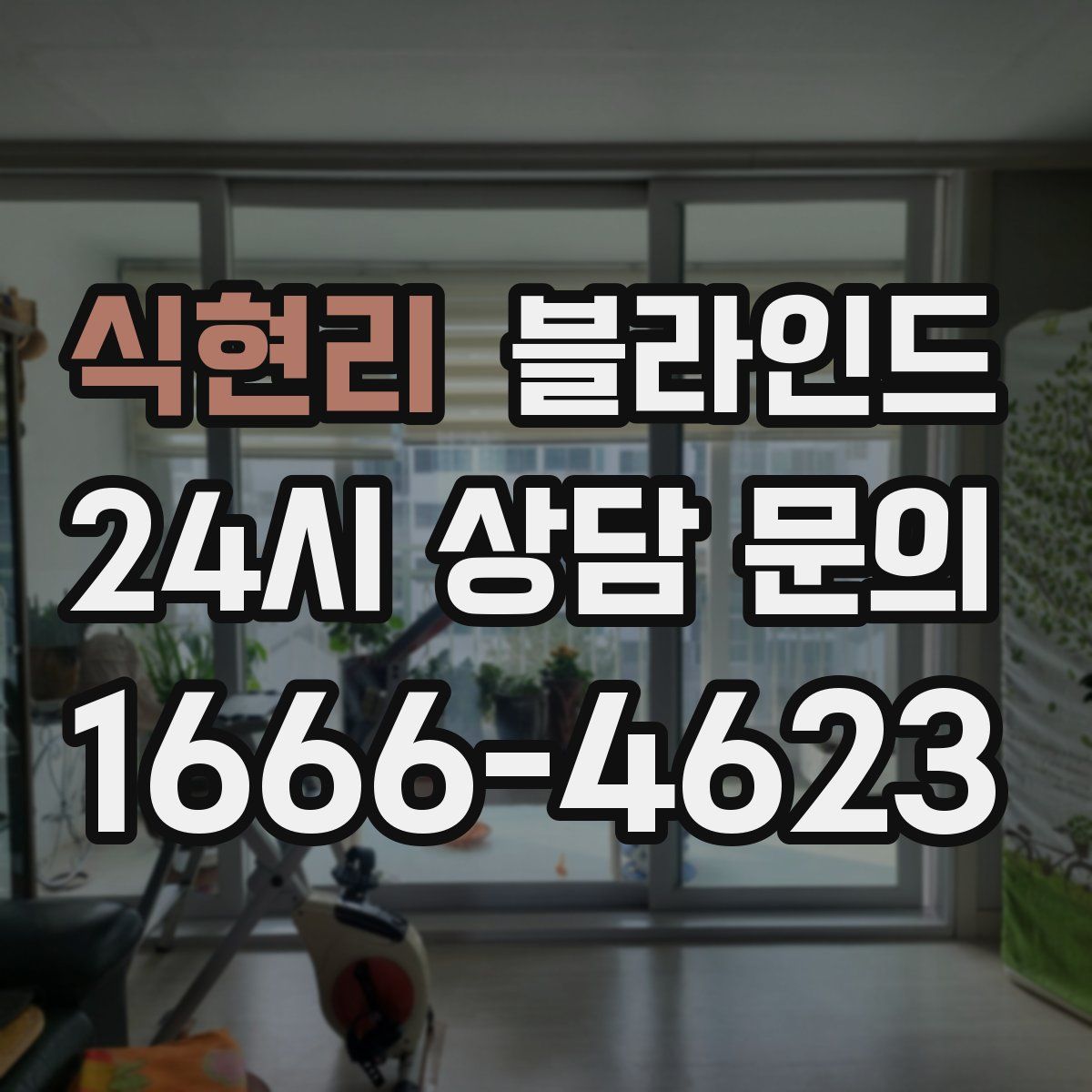 식현리 블라인드