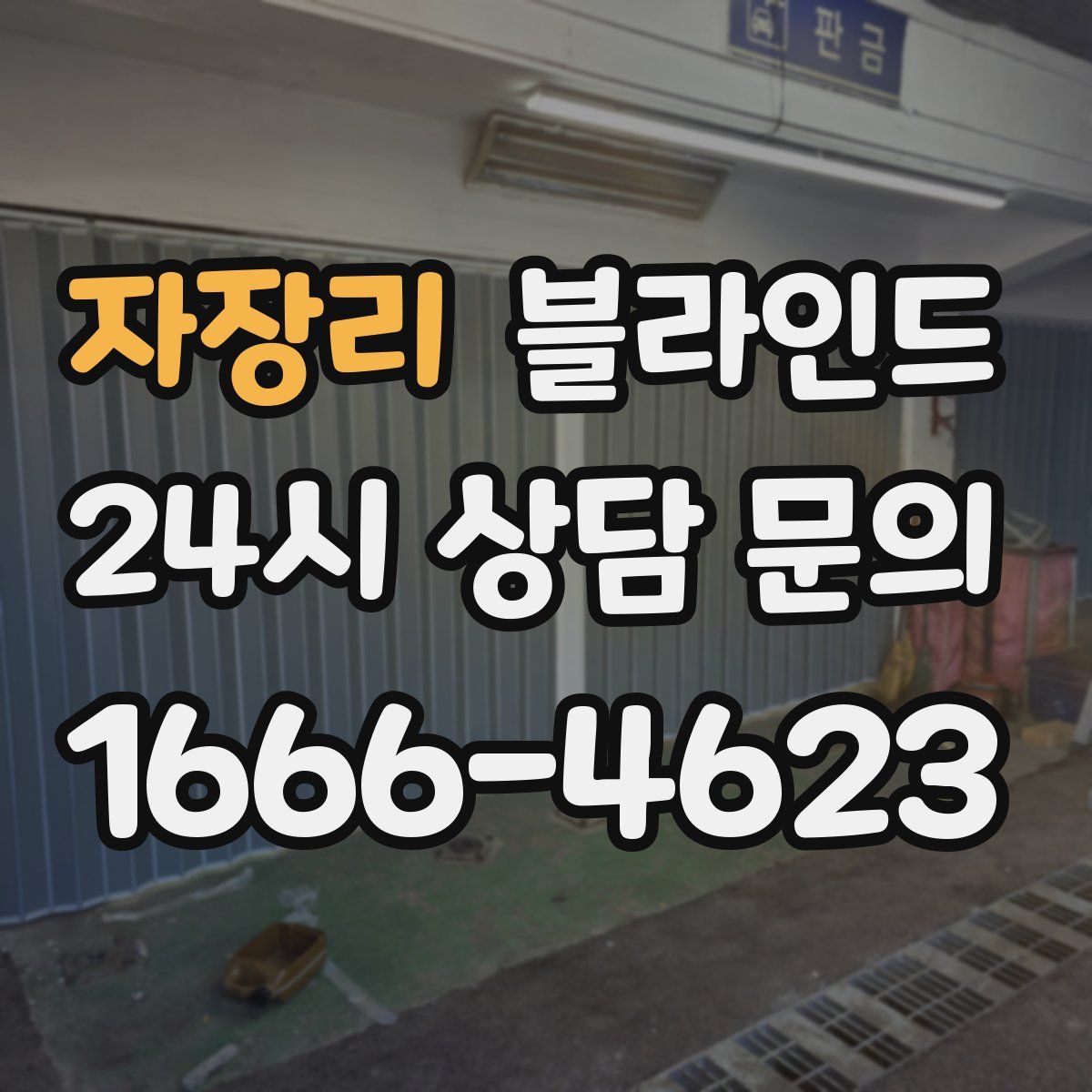 자장리 블라인드