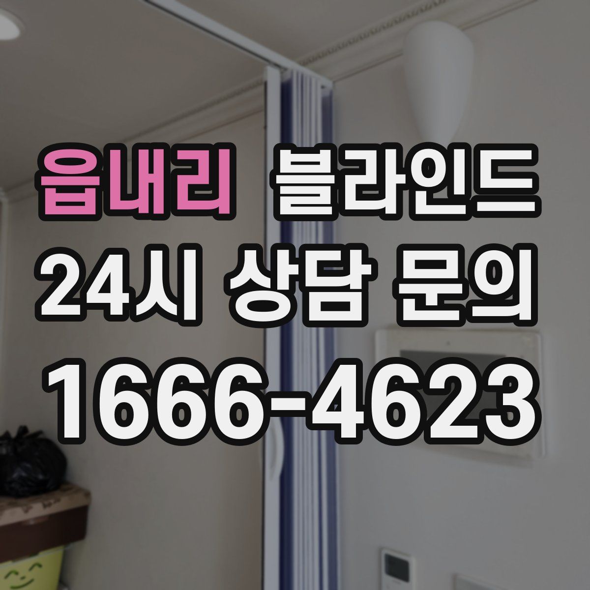 읍내리 블라인드