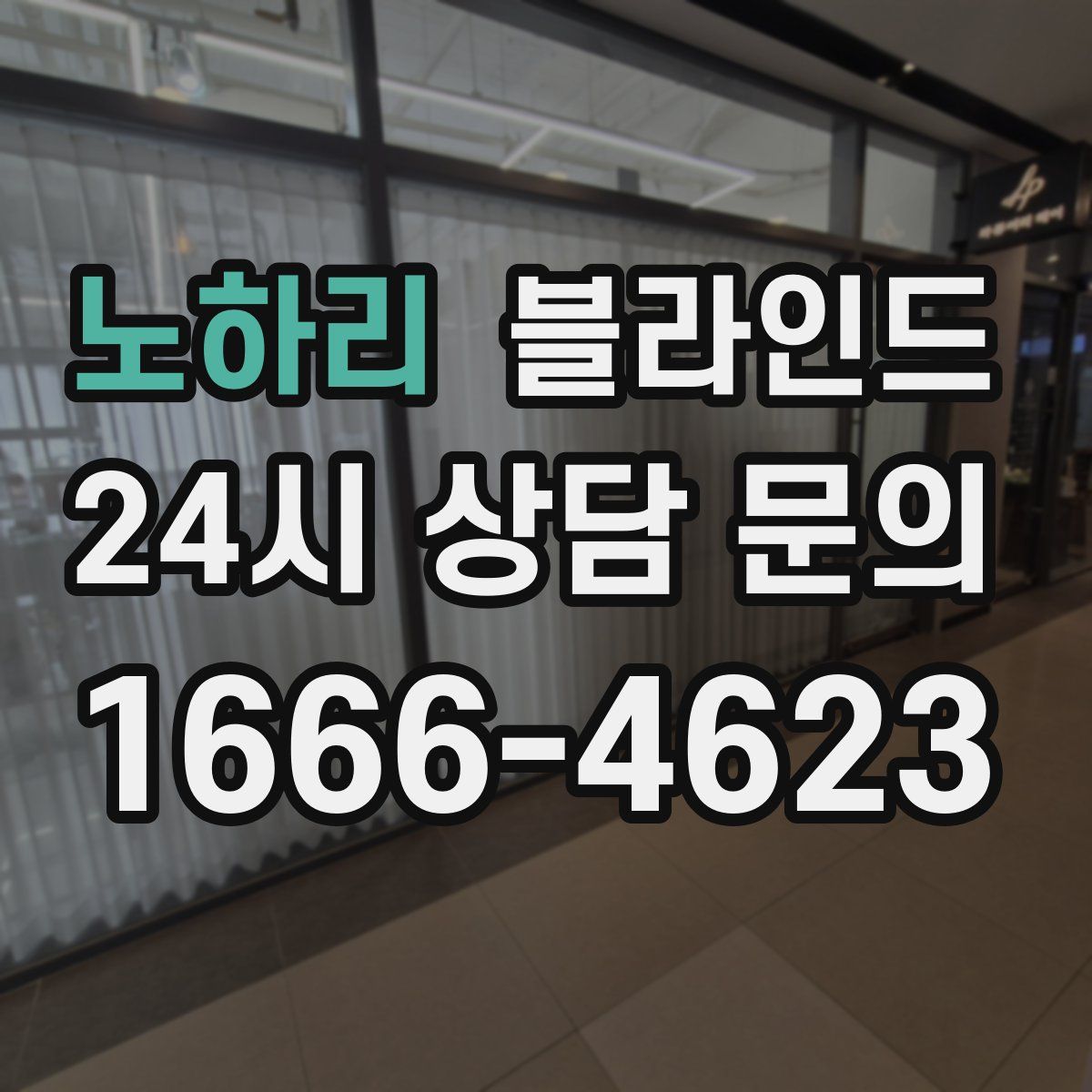 노하리 블라인드
