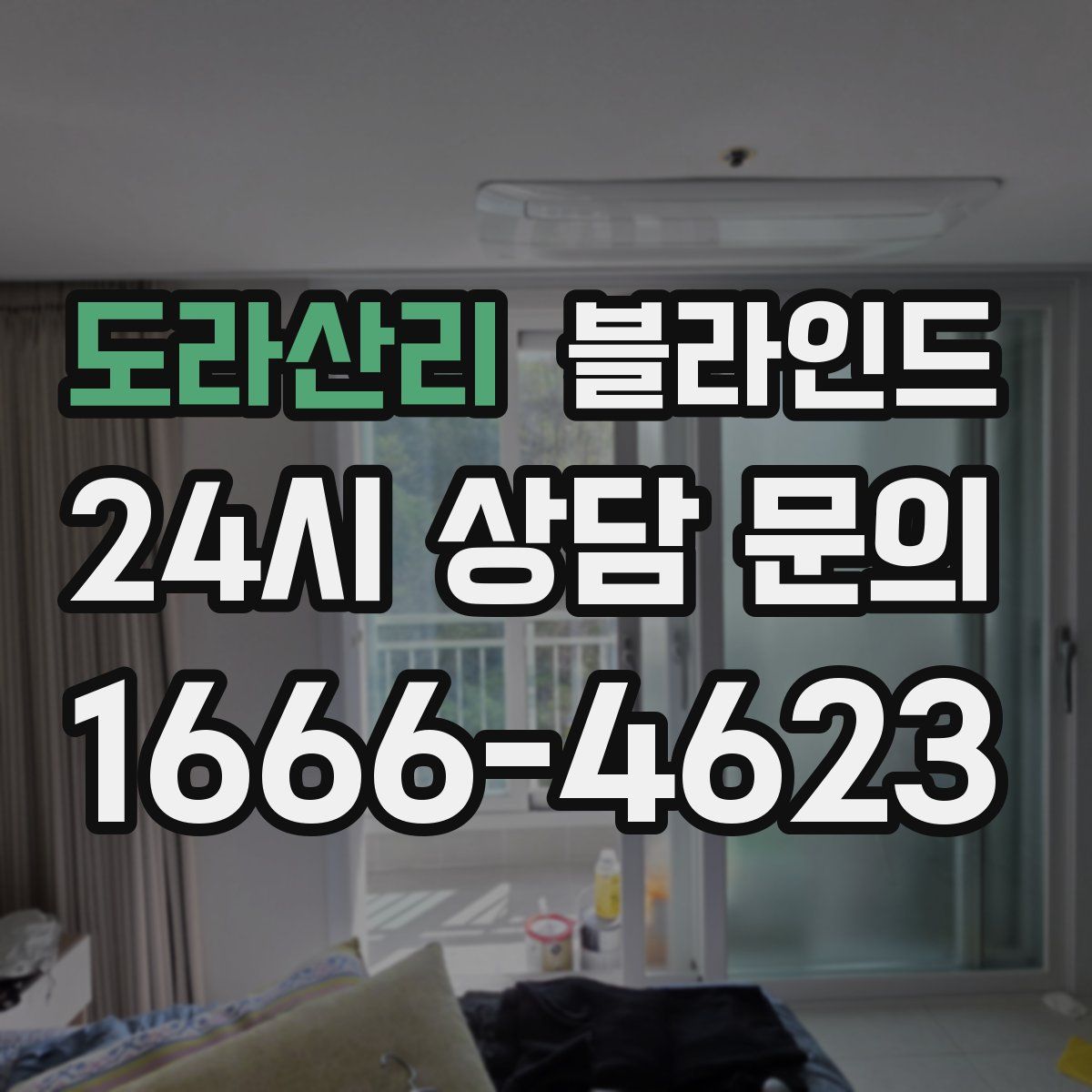 도라산리 블라인드