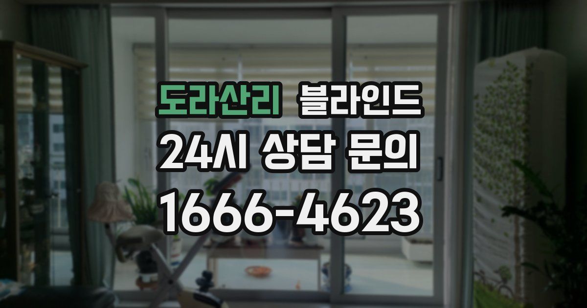 도라산리 블라인드