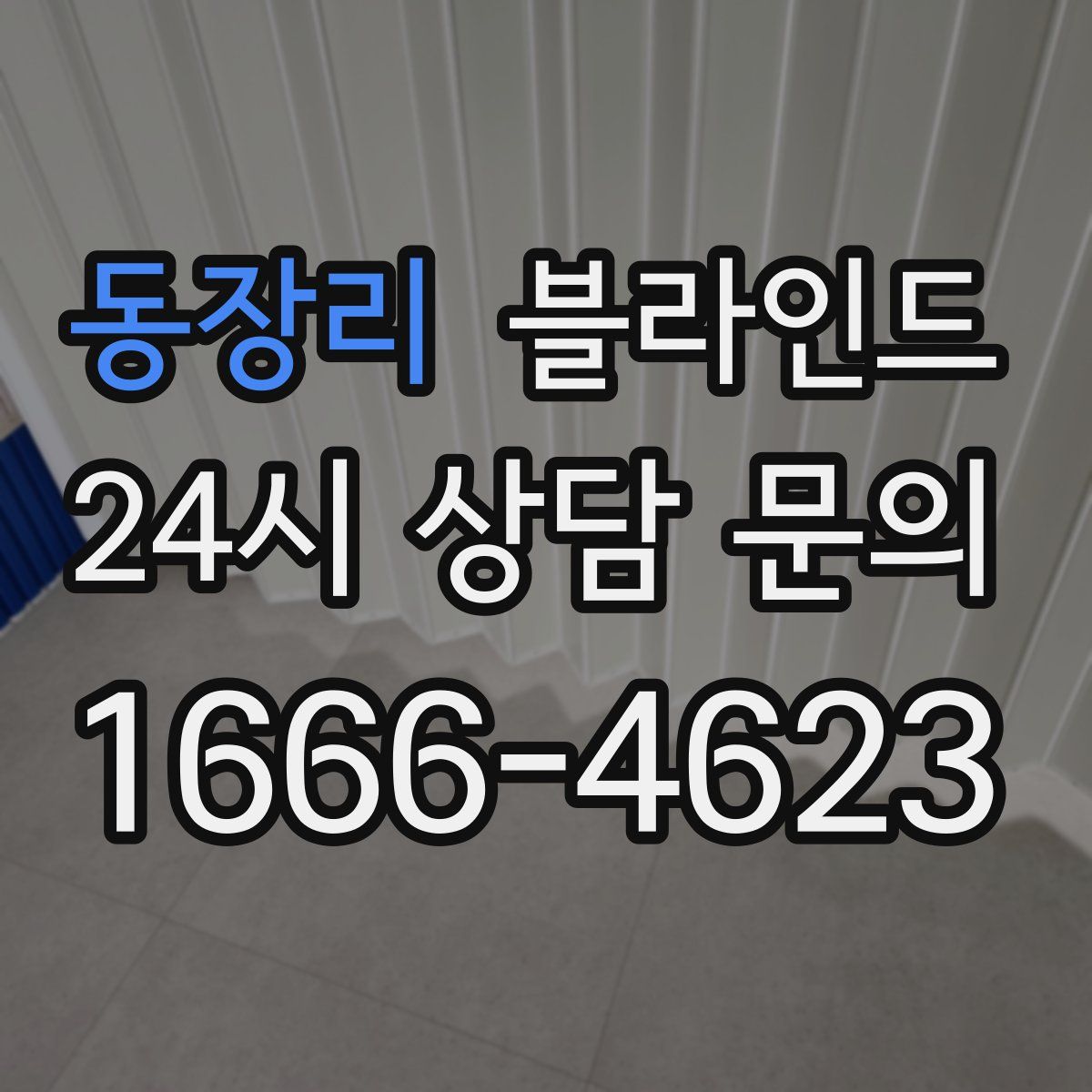 동장리 블라인드