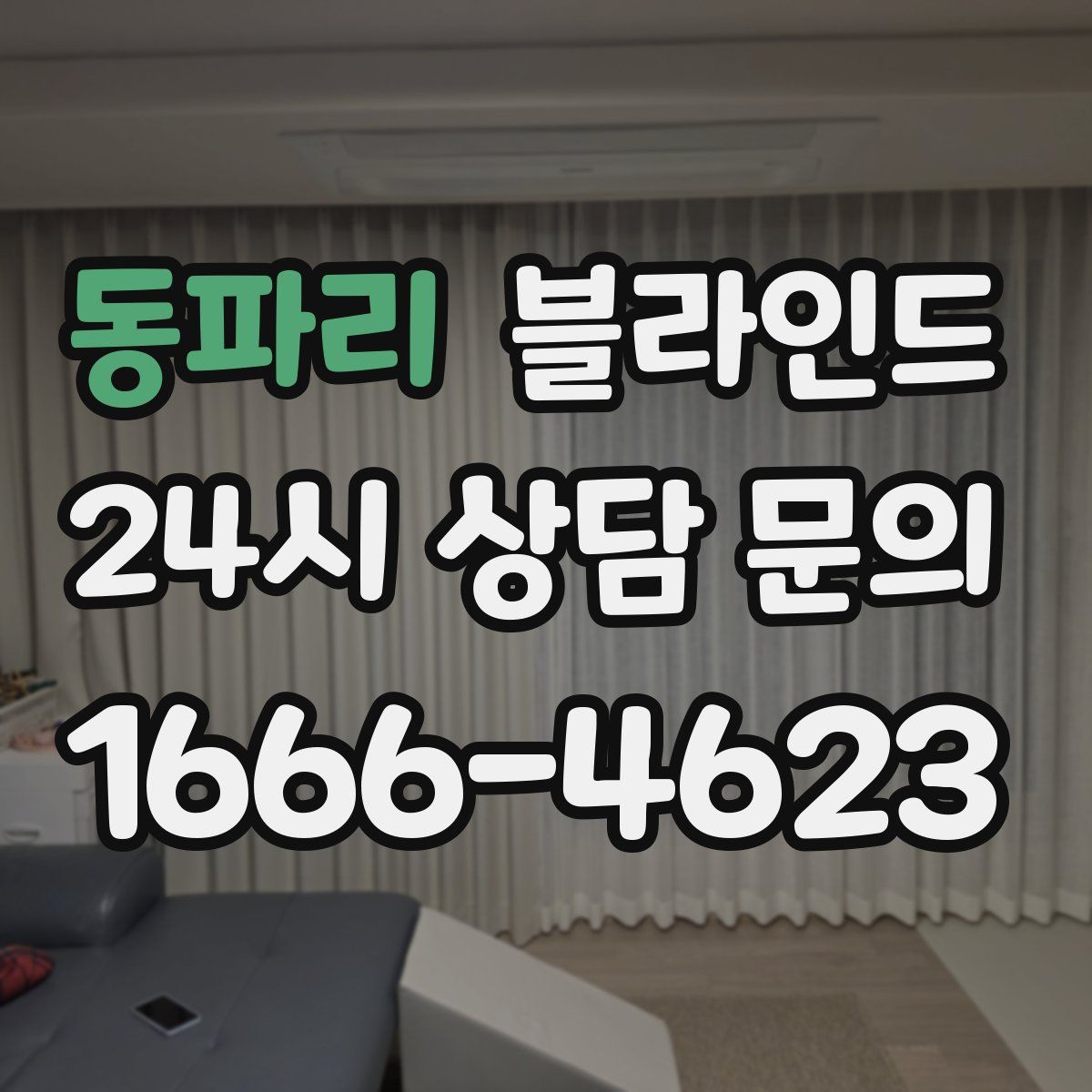 동파리 블라인드