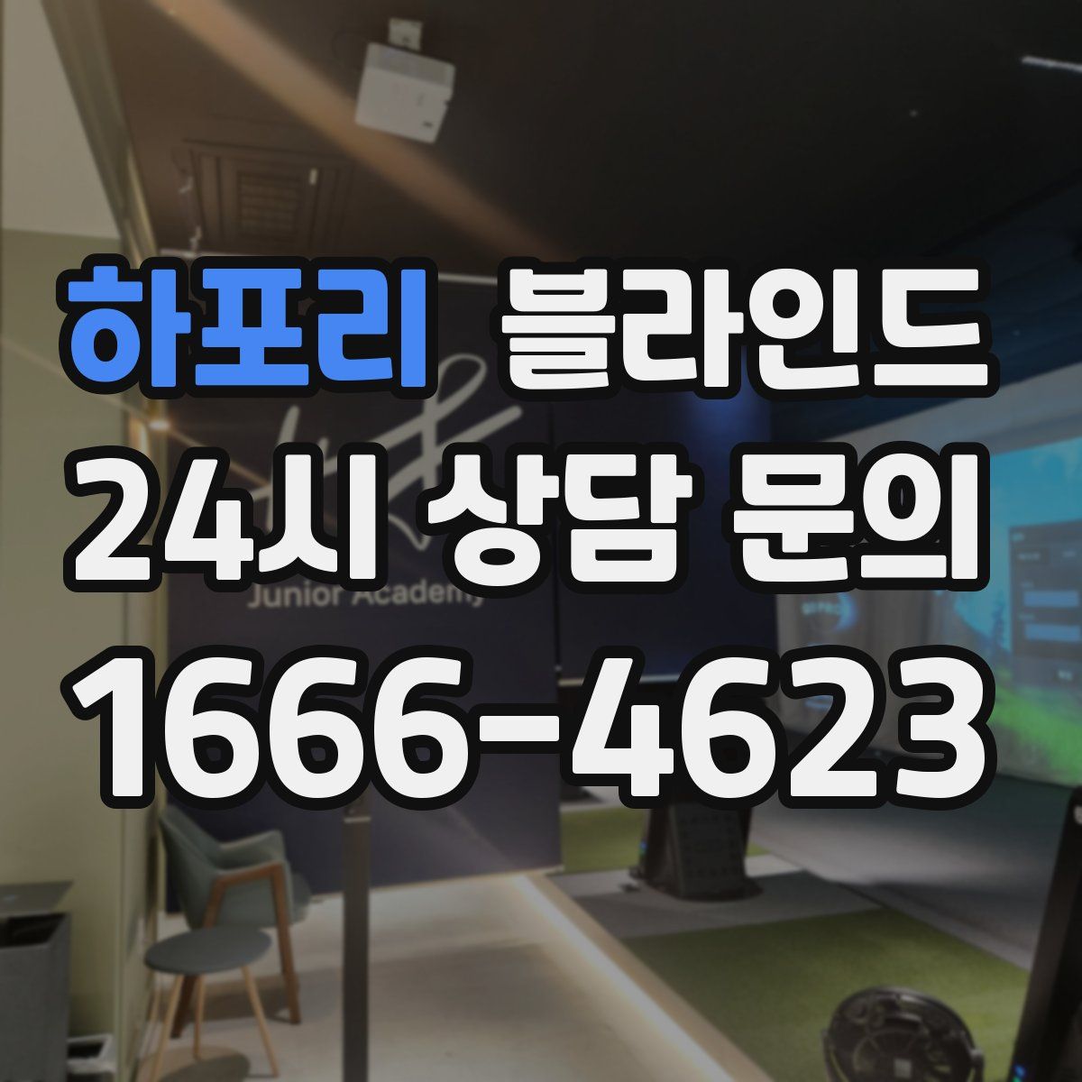 하포리 블라인드