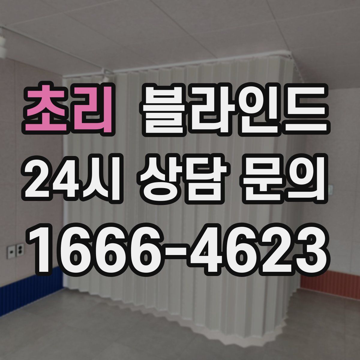 초리 블라인드