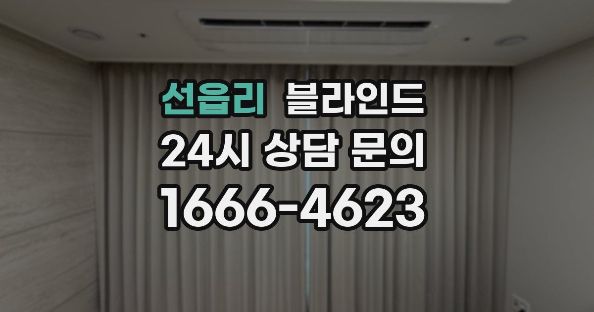 선읍리 블라인드