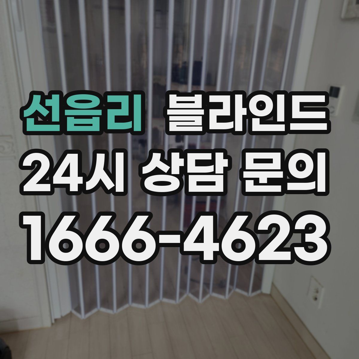 선읍리 블라인드